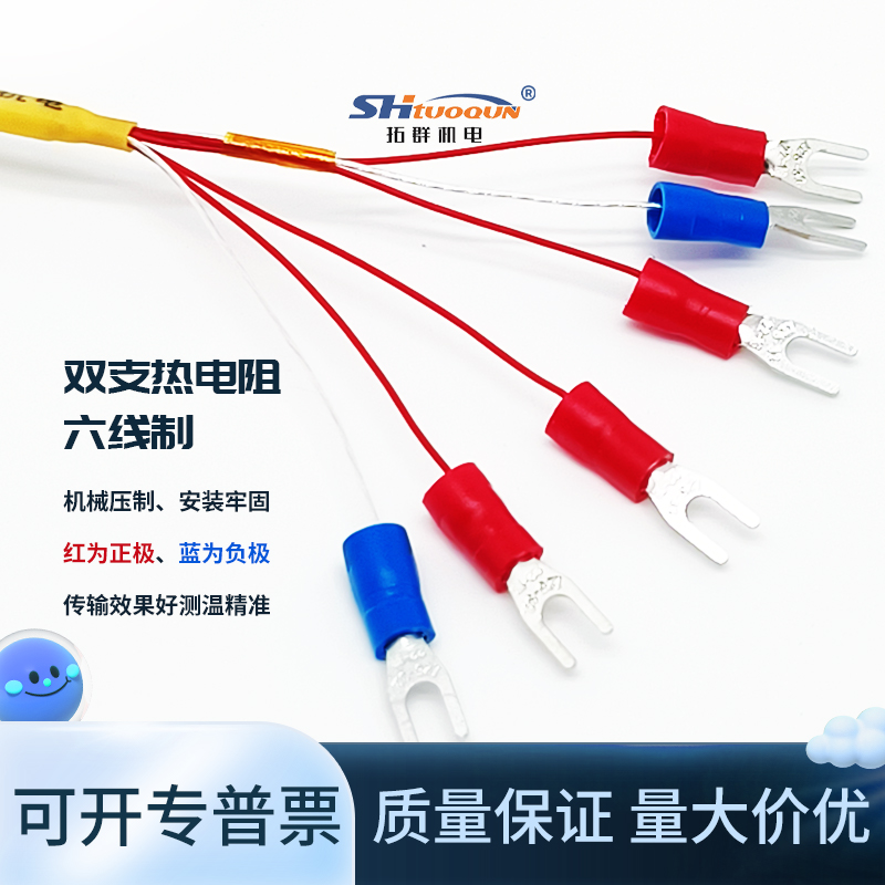 拓群WZPK-191六線制溫度傳感器A級PT100探頭 雙支鎧裝鉑熱電阻